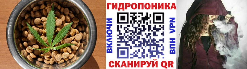 цена наркотик  Ялуторовск  Еда ТГК конопля 
