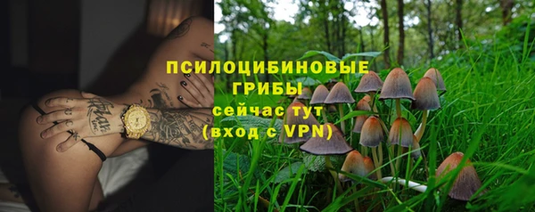 МДПВ Белокуриха