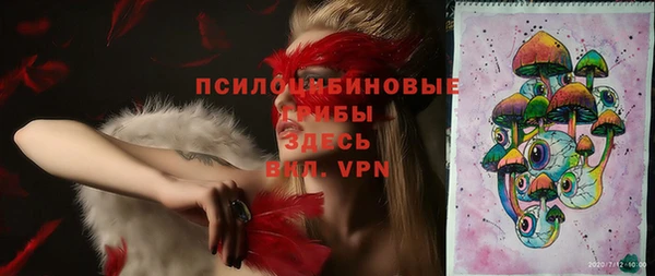 МДПВ Белокуриха